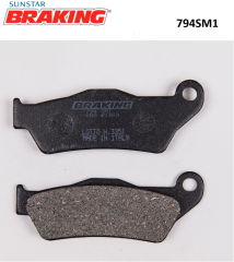 BMW S 1000 XR 2014-2023 BRAKING YARI METALİK ARKA FREN BALATASI 794SM1